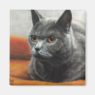 Graukatze mit orangefarbenen Augen Magnet