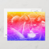 Graukatze Postkarte (Vorne/Hinten)