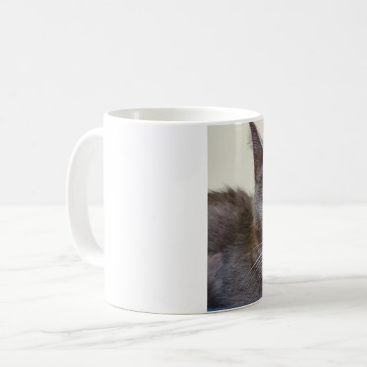 Graukatze-Tasse Kaffeetasse (Vorderseite Links)