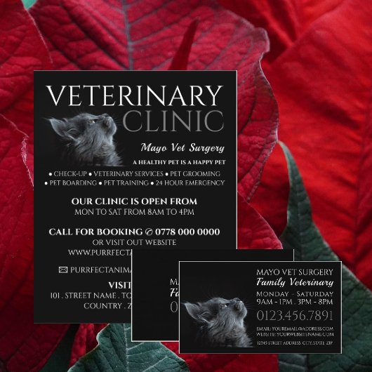 Graukatze, Tierarzt, Veterinärdienst Flyer