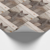 GraukatzenFoto Geschenkpapier (Ecke)