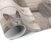 GraukatzenFoto Geschenkpapier (Rolleneckpunkt)