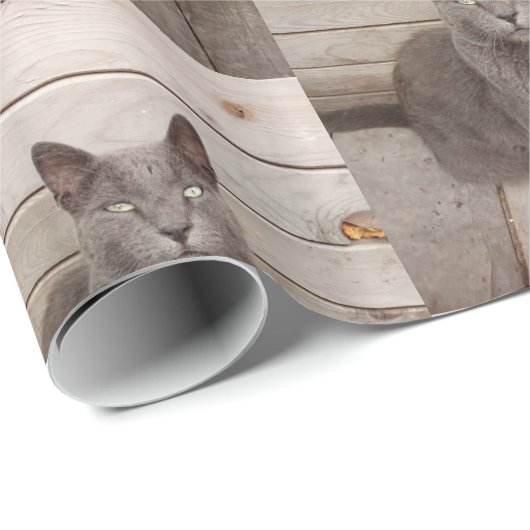 GraukatzenFoto Geschenkpapier (Rolleneckpunkt)