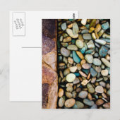 Graukies Postkarte (Vorne/Hinten)