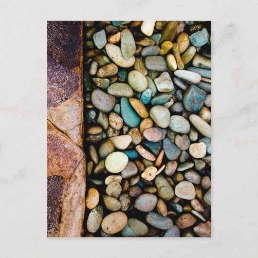 Graukies Postkarte (Vorderseite)