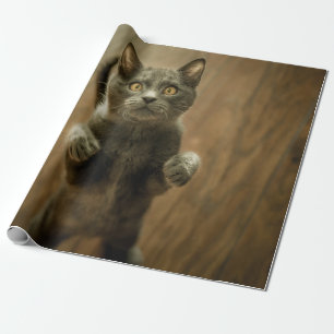 GRAUKKATZE STEHEND IN ZWEI FÜSSEN GESCHENKPAPIER