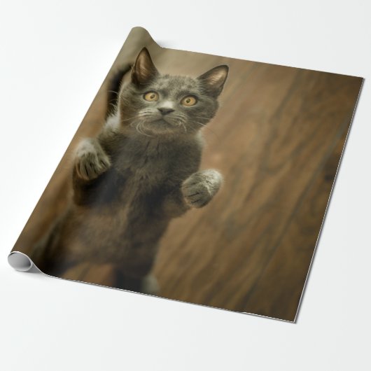 GRAUKKATZE STEHEND IN ZWEI FÜSSEN GESCHENKPAPIER (Ungerollt)