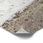 GRAUKONKRETE ARCHENBRÜCKE NEBEN LEAFLESS BAUM POSTER (Ecke)