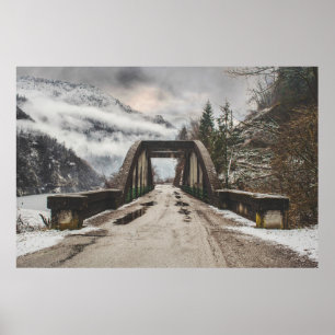 GRAUKONKRETE ARCHENBRÜCKE NEBEN LEAFLESS BAUM POSTER