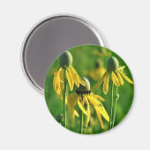 Graukopfblütenmagnet Magnet (Vorderseite/Rückseite)