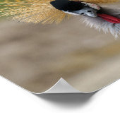 Graukranich Poster (Ecke)