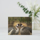 Graukraniches Vogelpaar Postkarte (Stehend Vorderseite)