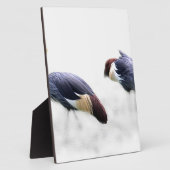 Graukrone Kran-Vogelfedern Fotoplatte (Seite)