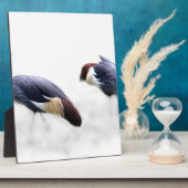 Graukrone Kran-Vogelfedern Fotoplatte (Seite)