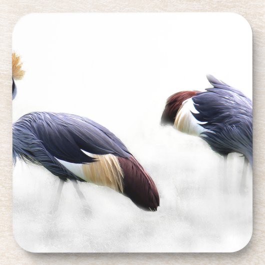 Graukrone Kran-Vogelfedern Untersetzer (Vorderseite)