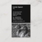 Graulag Gänse B&W - Schwarz Visitenkarte (Rückseite)