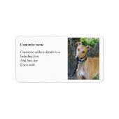 Graumarken (p85) adressaufkleber (Vorne)