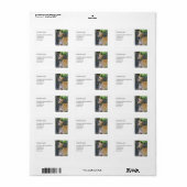 Graumarken (p85) adressaufkleber (Vorne)