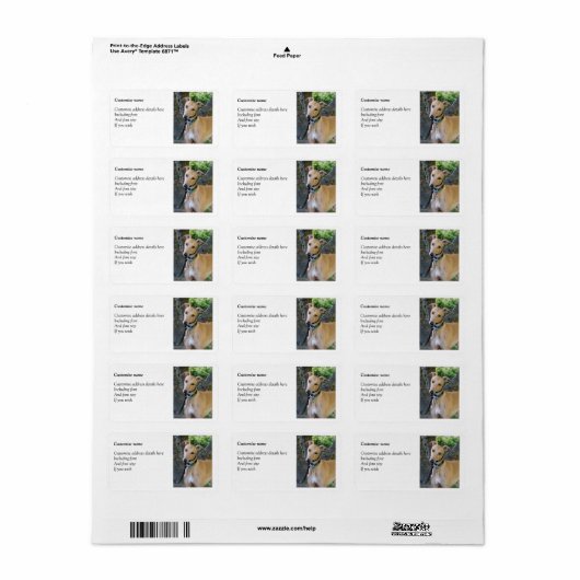 Graumarken (p85) adressaufkleber (Vorne)