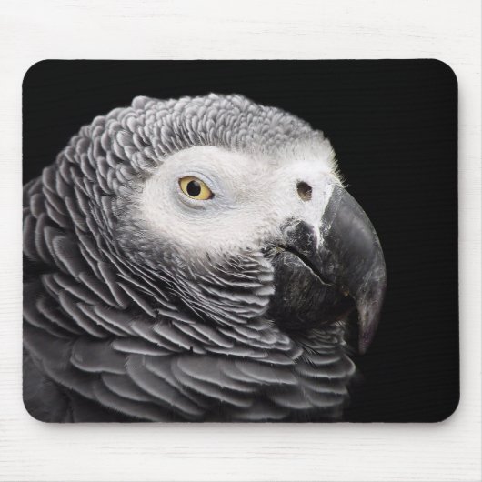 Graupapagei Mousepad (Vorne)