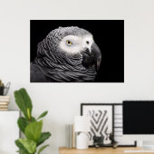 Graupapagei Poster (Heimbüro)