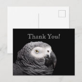 Graupapagei Postkarte (Vorne/Hinten)