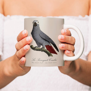 Graupapagei, Psittacus erithacus, vintage Kaffeetasse