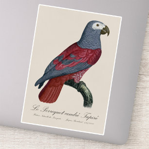 Graupapagei Rotfaktor Psittacus Erithacus Aufkleber