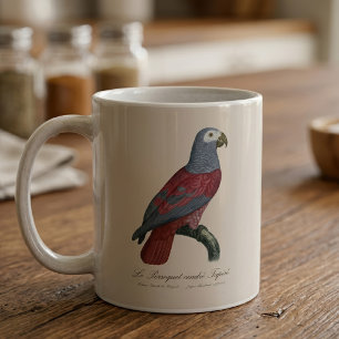 Graupapagei Rotfaktor Psittacus Erithacus Kaffeetasse