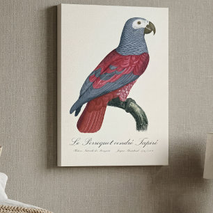 Graupapagei Rotfaktor Psittacus Erithacus Leinwanddruck