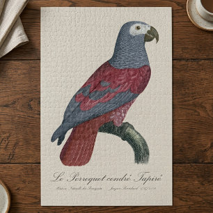 Graupapagei Rotfaktor Psittacus Erithacus Puzzle