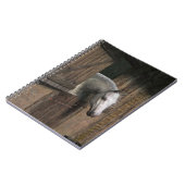 Graupferd an der stabilen Tür Notizblock (Linke Seite)