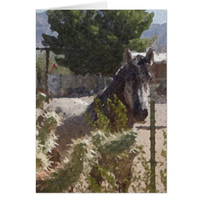 Graupferd in Catcus (Vorne)