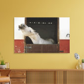 Graupferd in einem Stall Leinwanddruck (Insitu (Wohnzimmer))