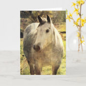 Graupferd Karte (Gelbe Blume)