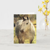 Graupferd Karte (Gelbe Blume)