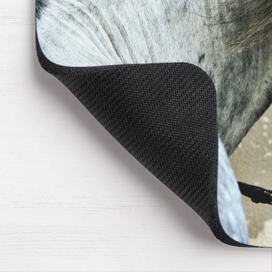 Graupferd Mousepad (Ecke)