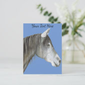 Graupferd Postkarte (Stehend Vorderseite)