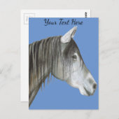 Graupferd Postkarte (Vorne/Hinten)