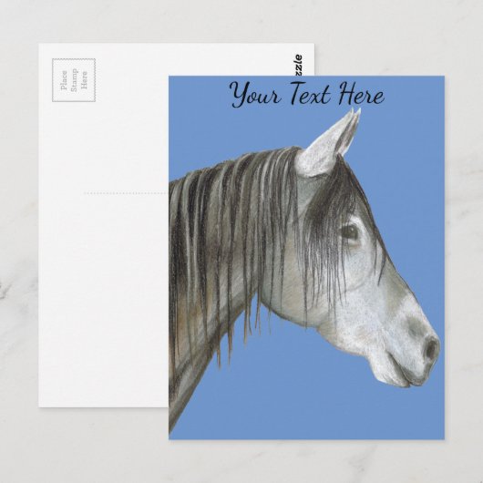 Graupferd Postkarte (Vorne/Hinten)