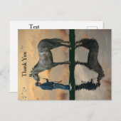 Graupferd und Groom OTTB Postkarte (Vorne/Hinten)