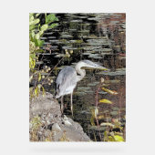Graureiher am Teich Acrylschild (Vorderseite)
