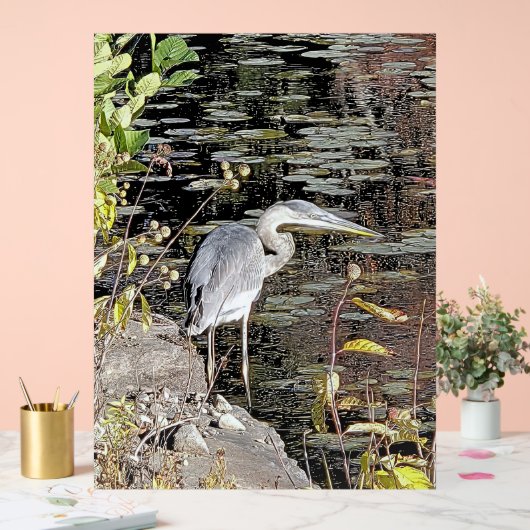 Graureiher am Teich Acrylschild (Hochzeit)