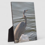 Graureiher am Wasser Fotoplatte (Seite)