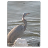 Graureiher am Wasser Klemmbrett (Rückseite)