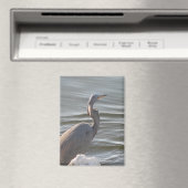 Graureiher am Wasser Magnet (In Situ (Geschirrspüler))