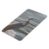 Graureiher am Wasser Magnet (Linke Seite)