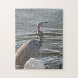Graureiher am Wasser Puzzle