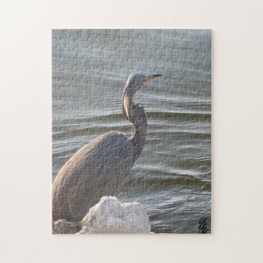 Graureiher am Wasser Puzzle (Vertikal)