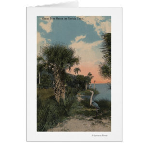 Graureiher auf Florida-Küsten-Strand